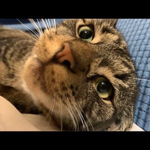 Meet your Posher, Ryan